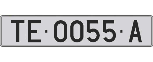 TE0055A matricula larga