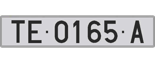 TE0165A matricula larga