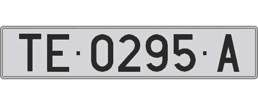 TE0295A matricula larga