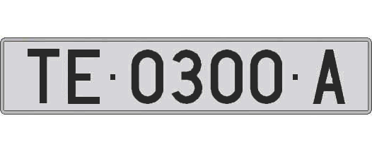 TE0300A matricula larga