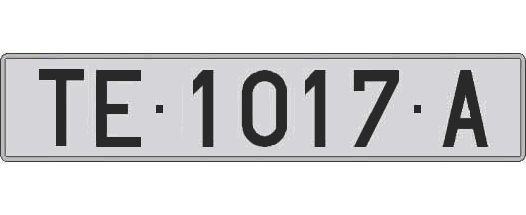 TE1017A matricula larga