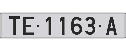 TE1163A matricula larga