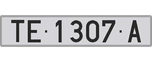 TE1307A matricula larga