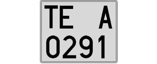 TE0291A matricula cuadrada