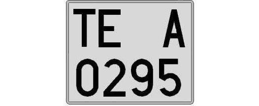 TE0295A matricula cuadrada