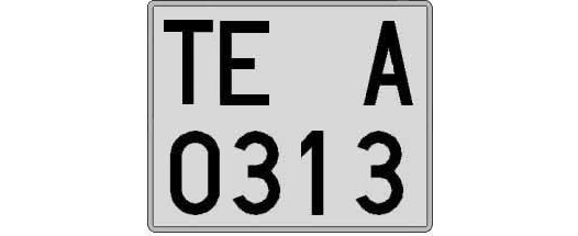 TE0313A matricula cuadrada