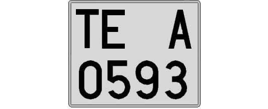 TE0593A matricula cuadrada