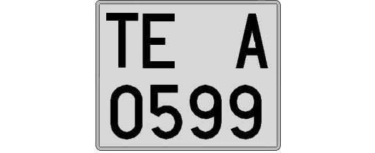 TE0599A matricula cuadrada