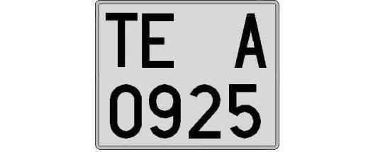 TE0925A matricula cuadrada
