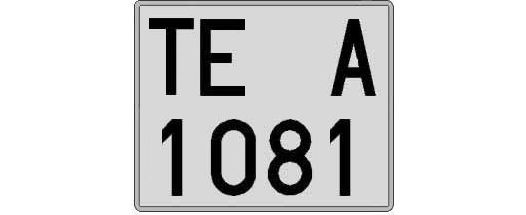 TE1081A matricula cuadrada