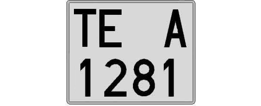 TE1281A matricula cuadrada