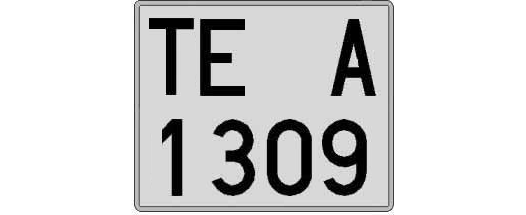 TE1309A matricula cuadrada